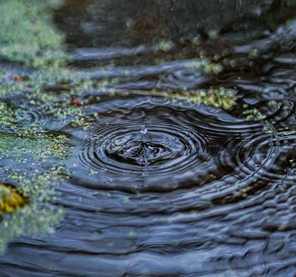 Captivating close-up of a water droplet splashing into a pond, forming mesmerizing ripples.